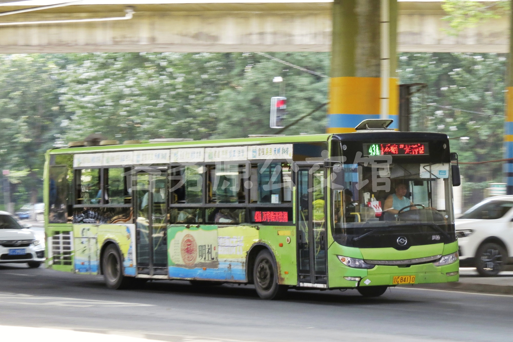 50065