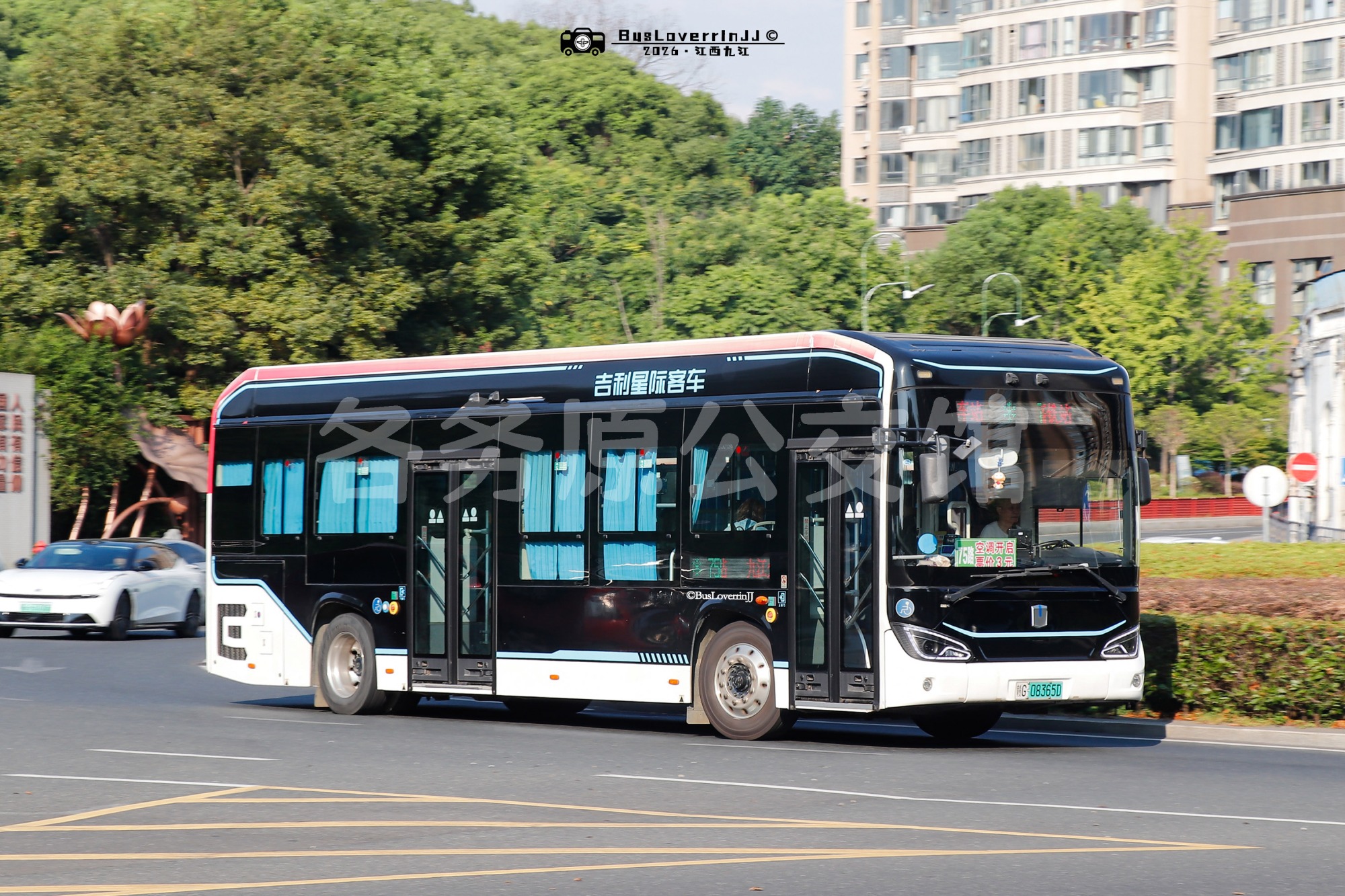 75路【G003】（原色）