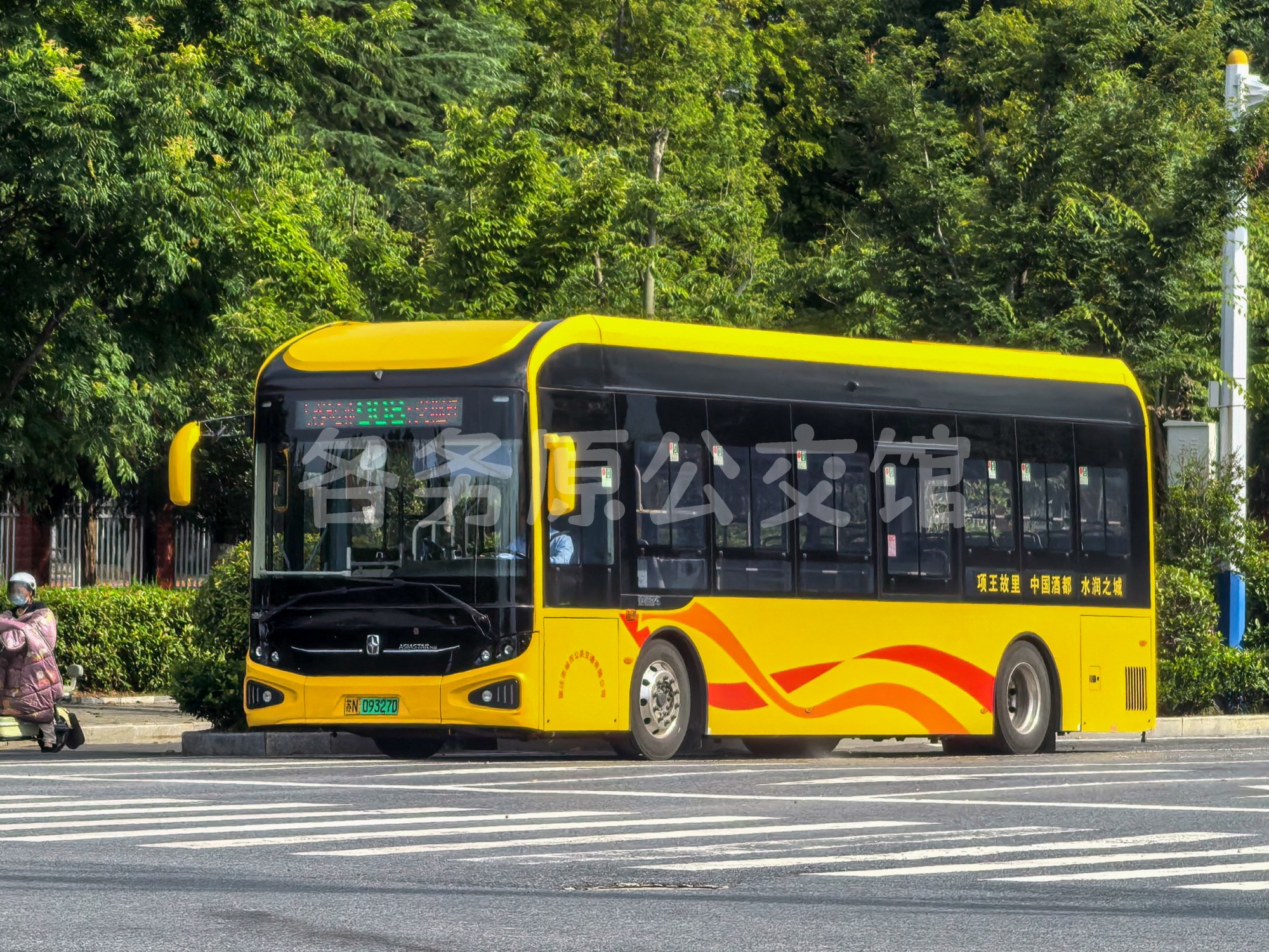 未命名图片