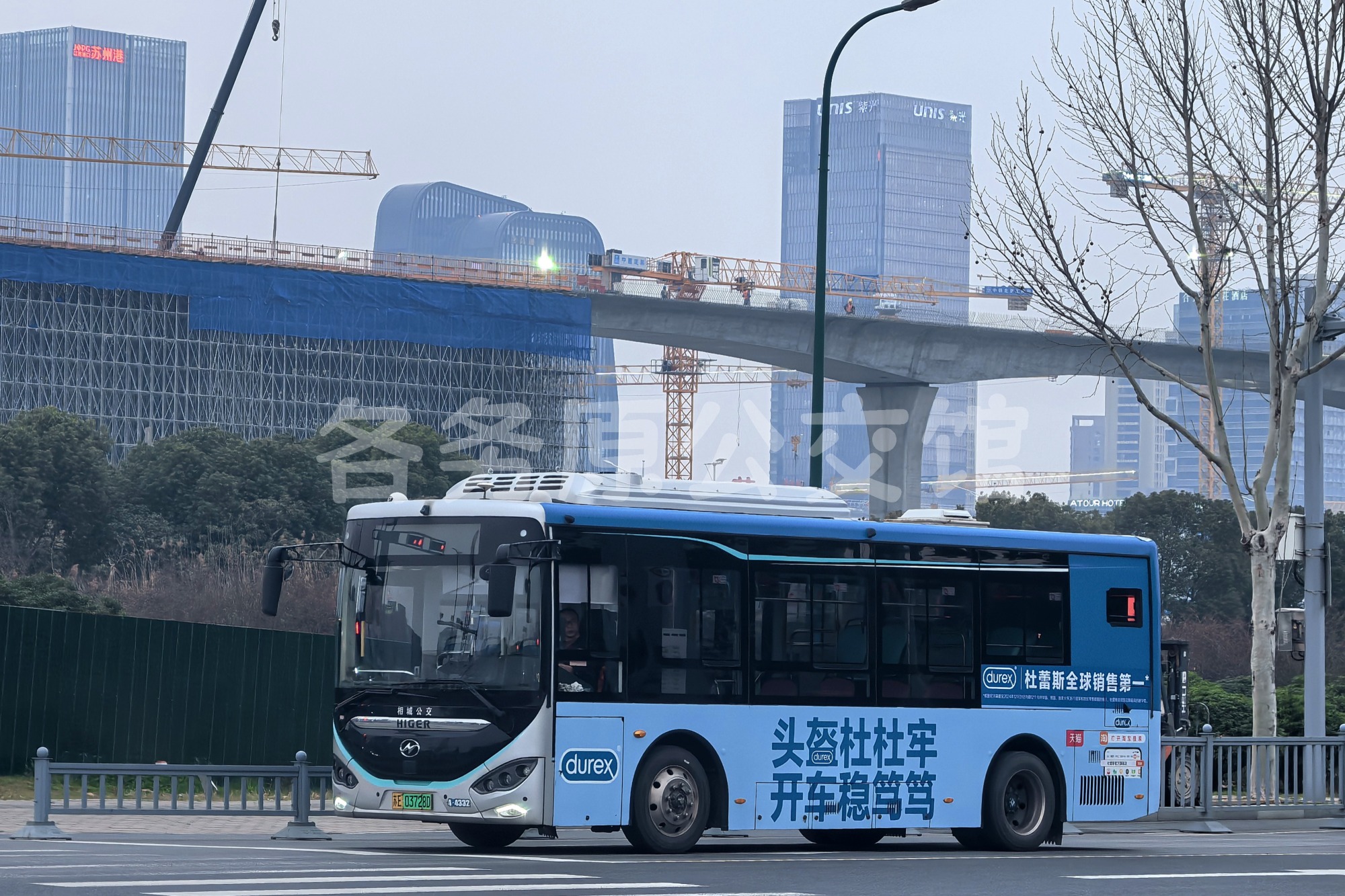 未命名图片