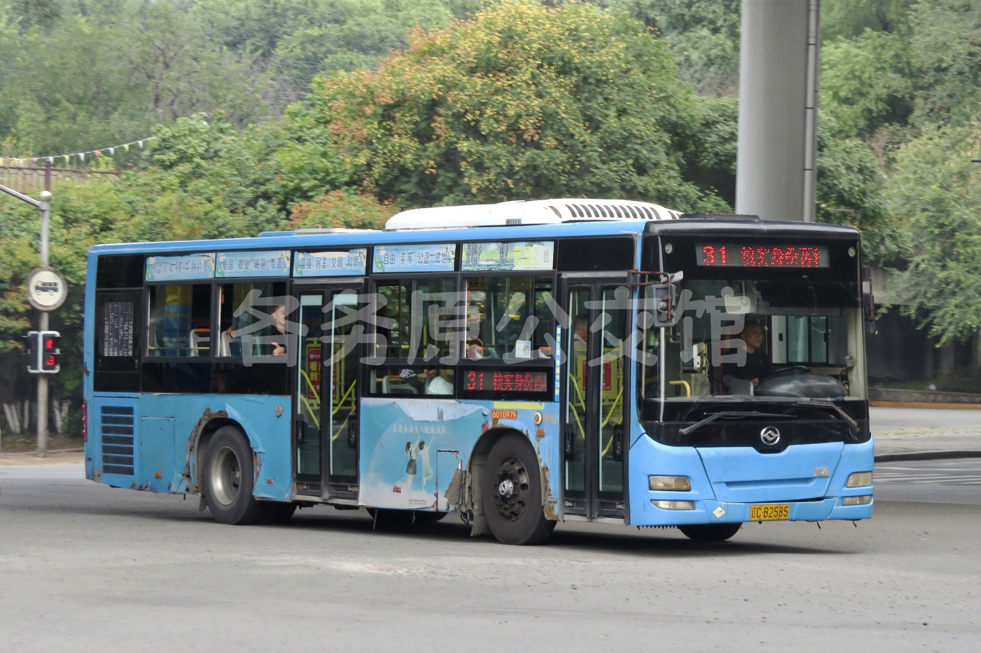 热门图片