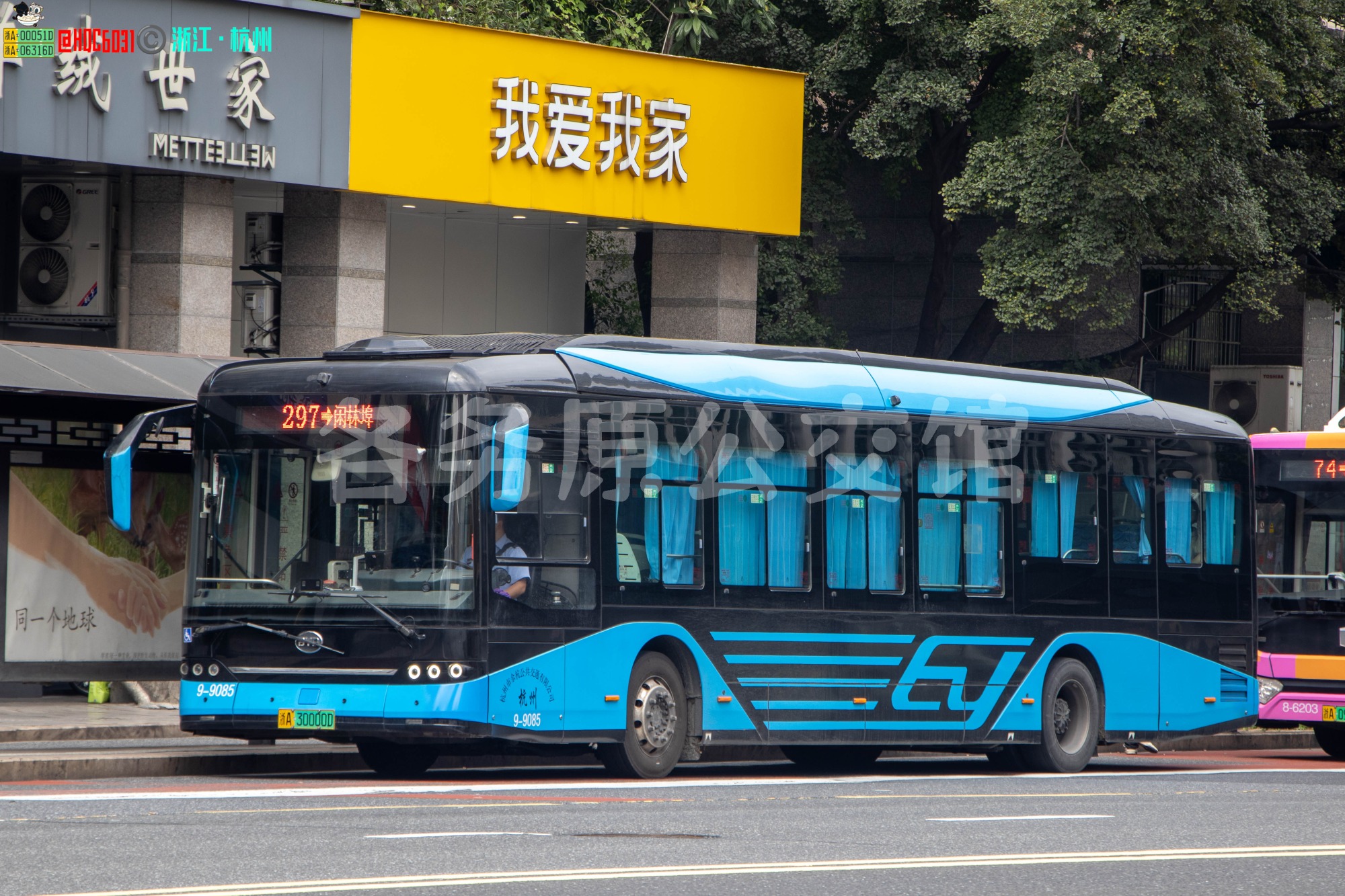 余杭公交 - BYD6123LGEV1