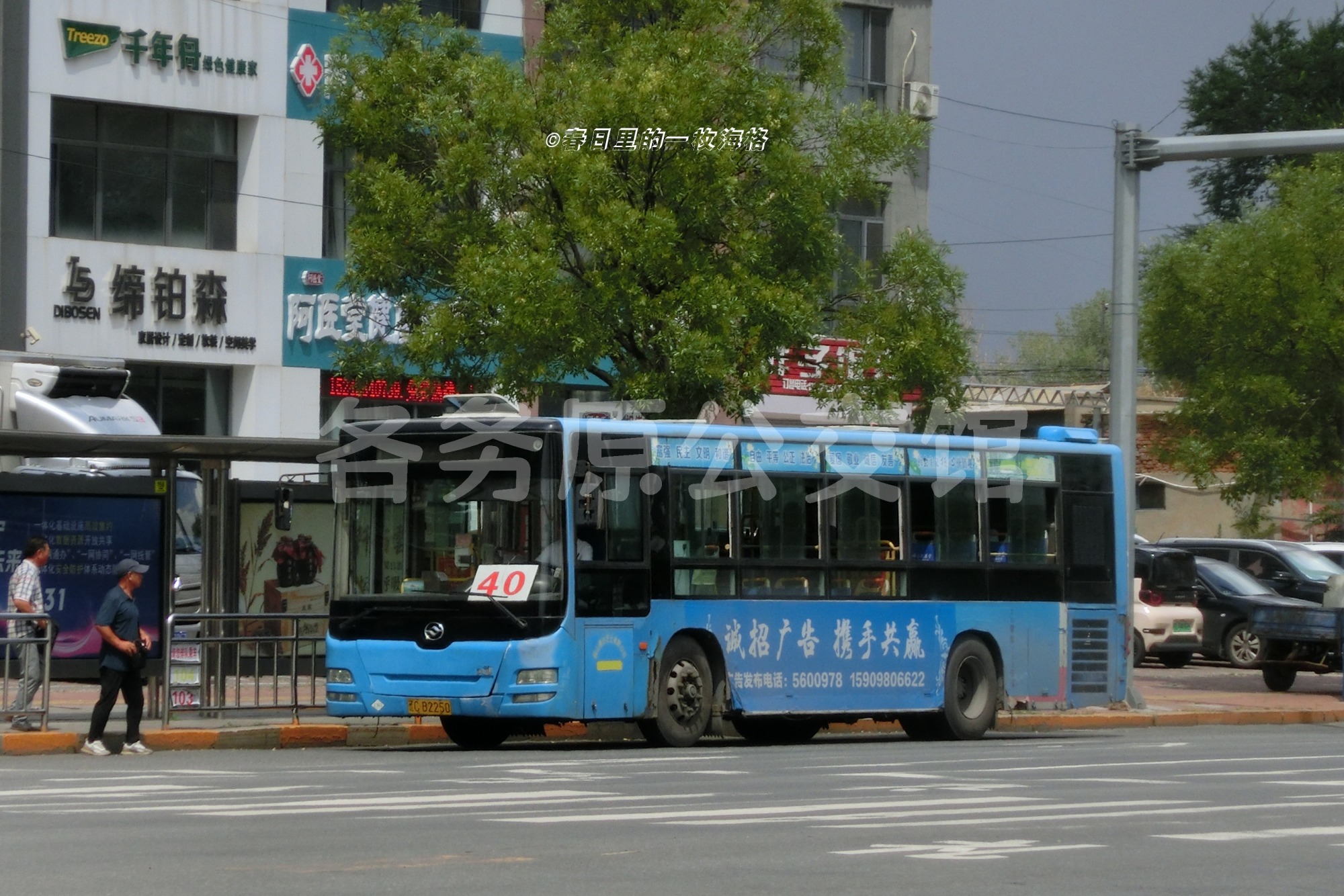 热门图片
