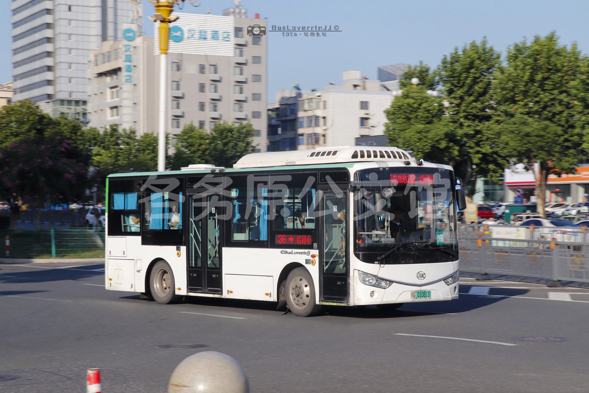 36路【C062】（原色）
