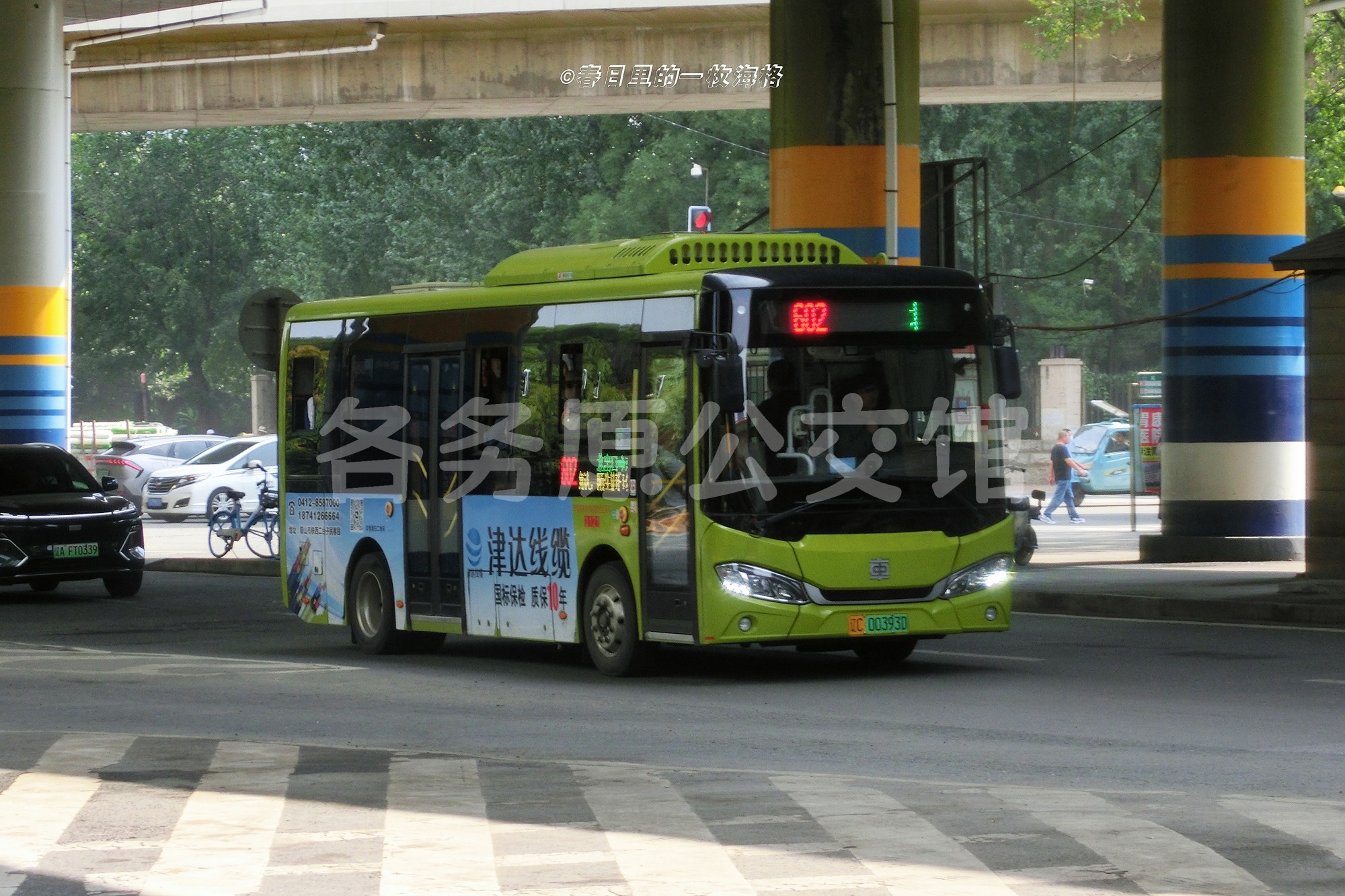 热门图片