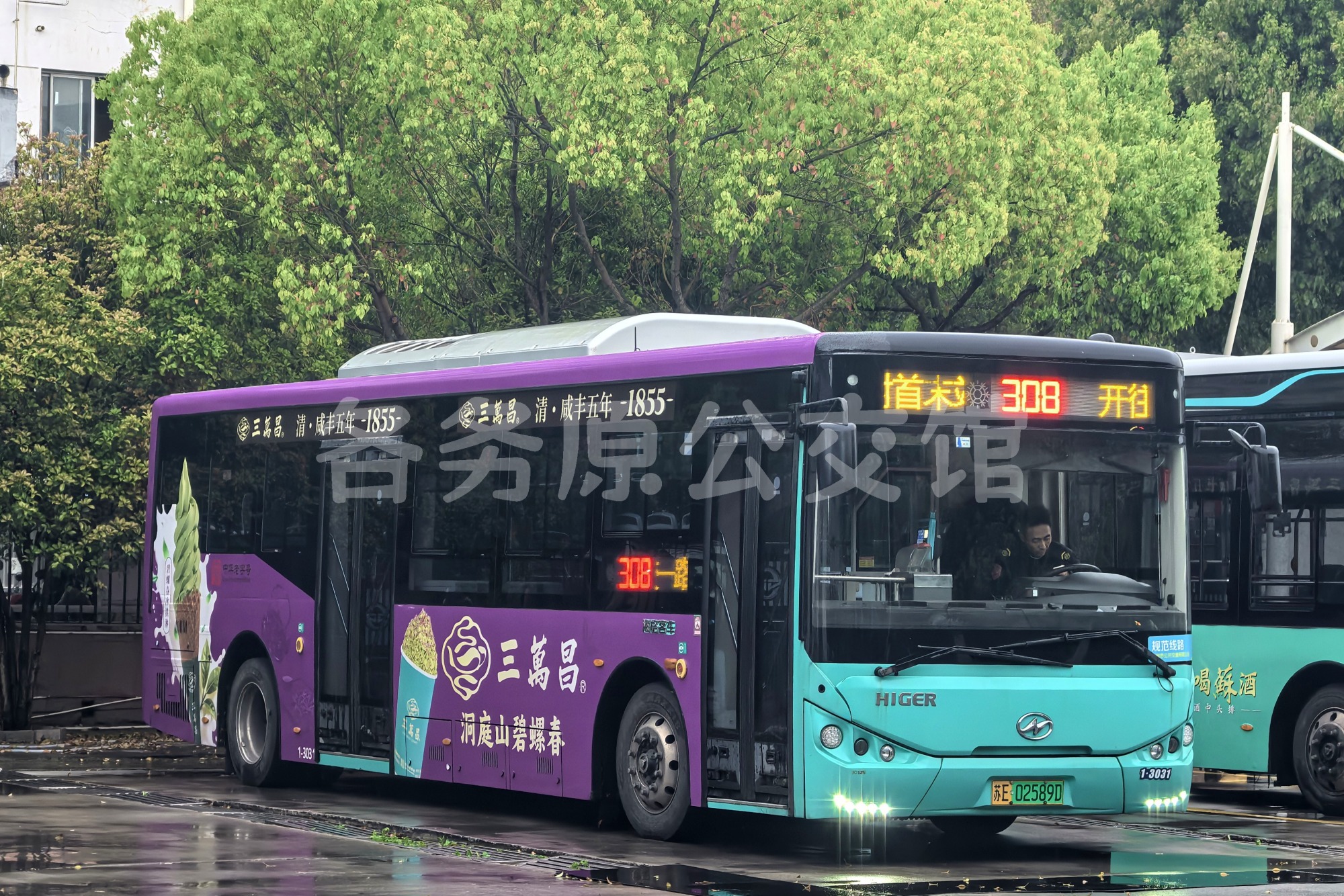 未命名图片