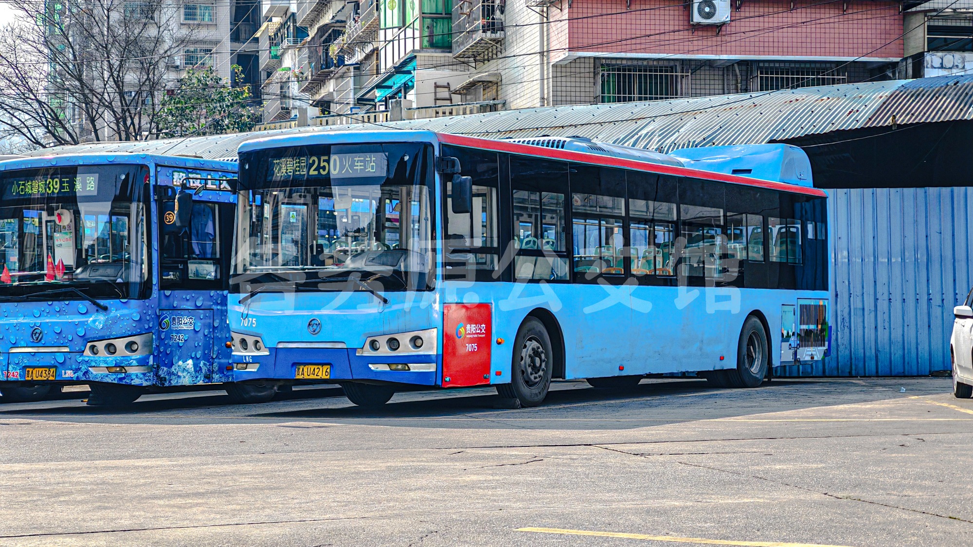 WD6120HNGC图片