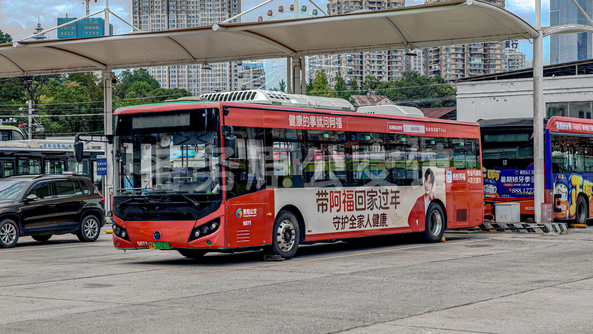 WD6117BEVG01图片