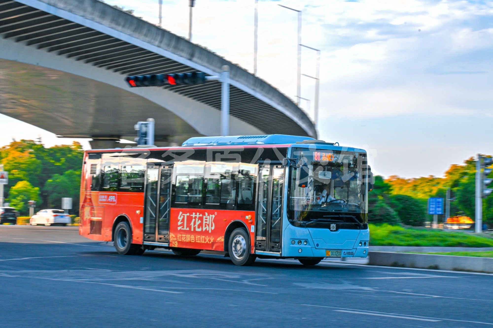 TEG6106BEV16图片