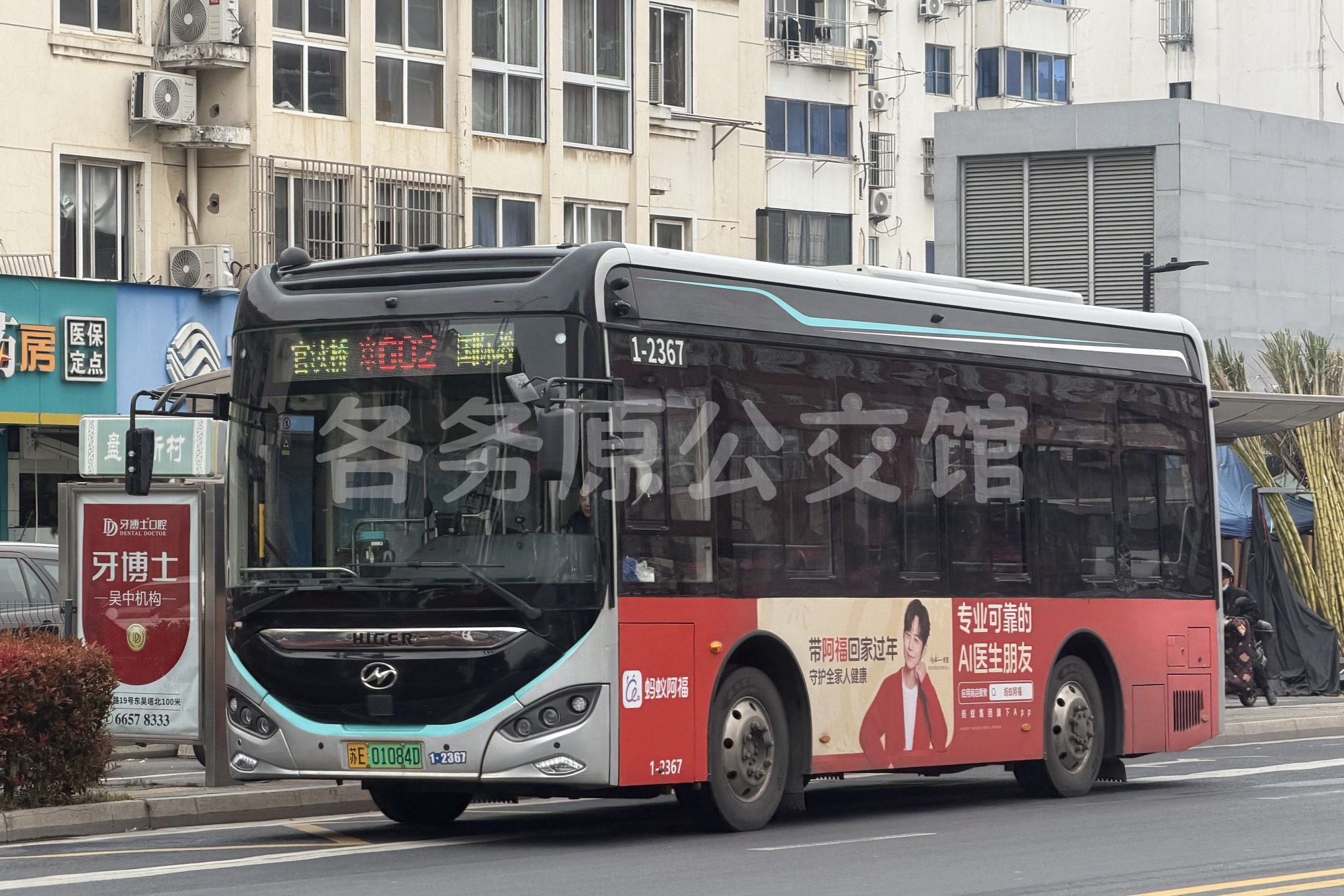 未命名图片