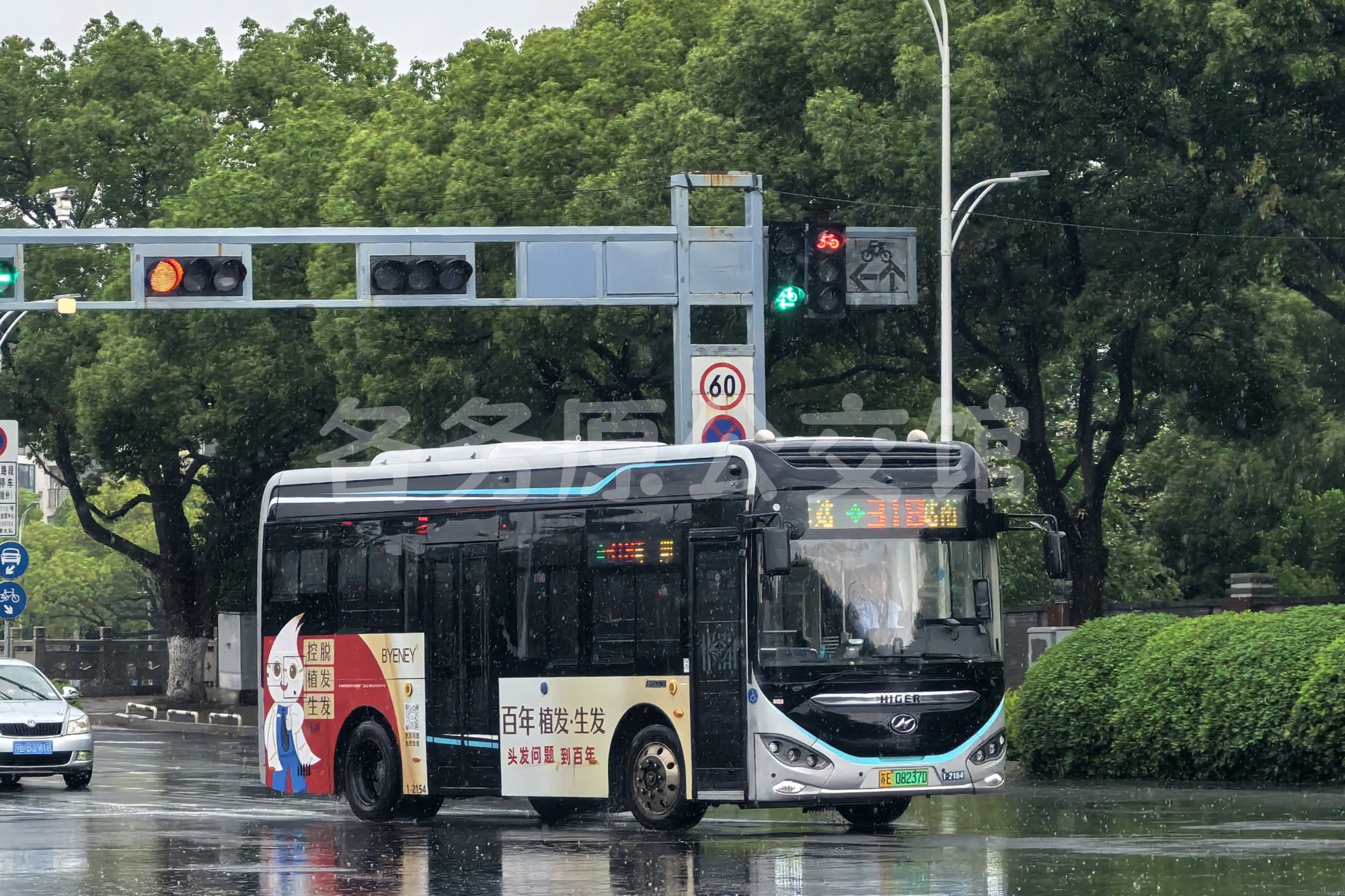 未命名图片