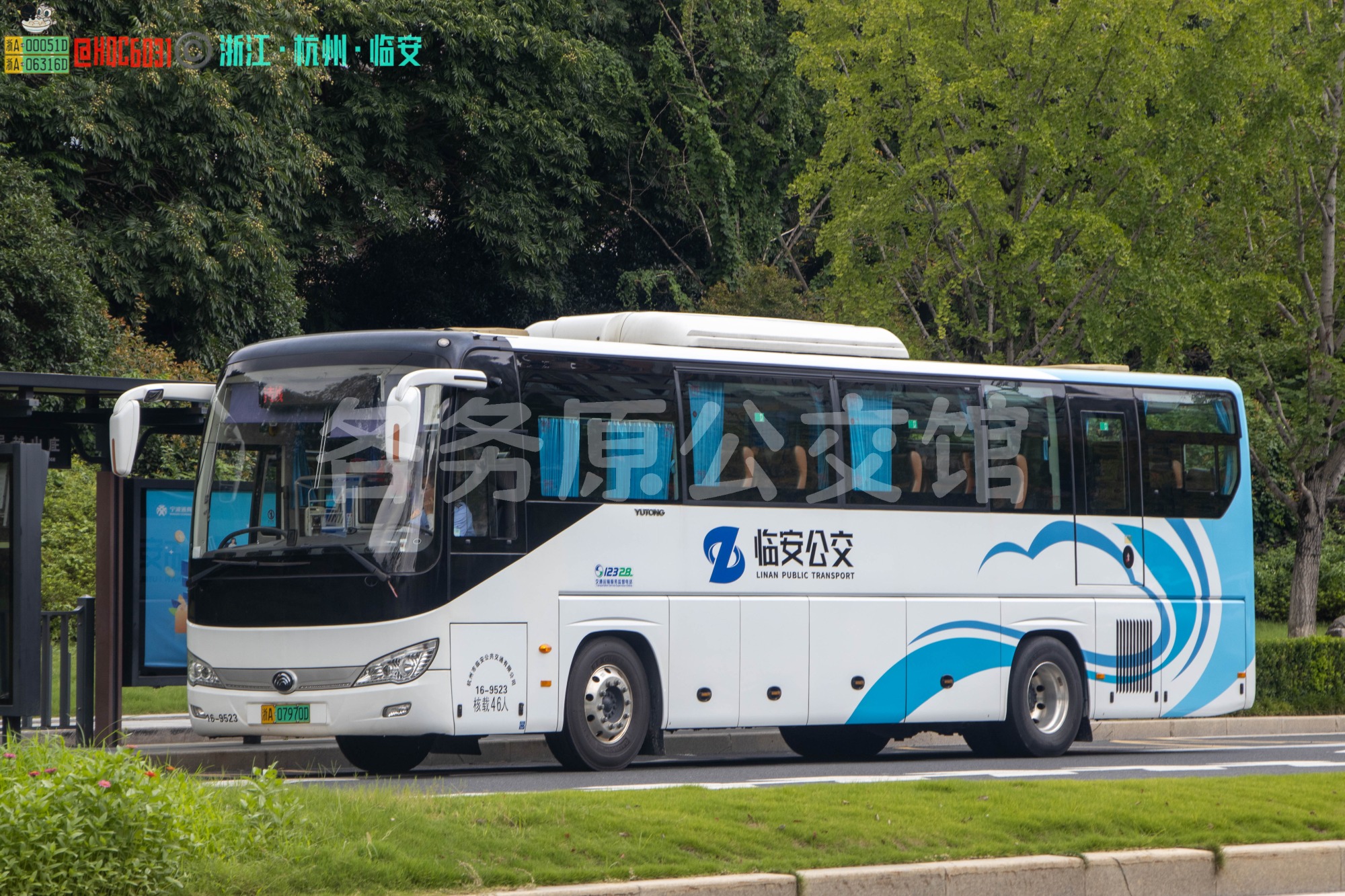 临安公交 - ZK6119BEVQY18P2