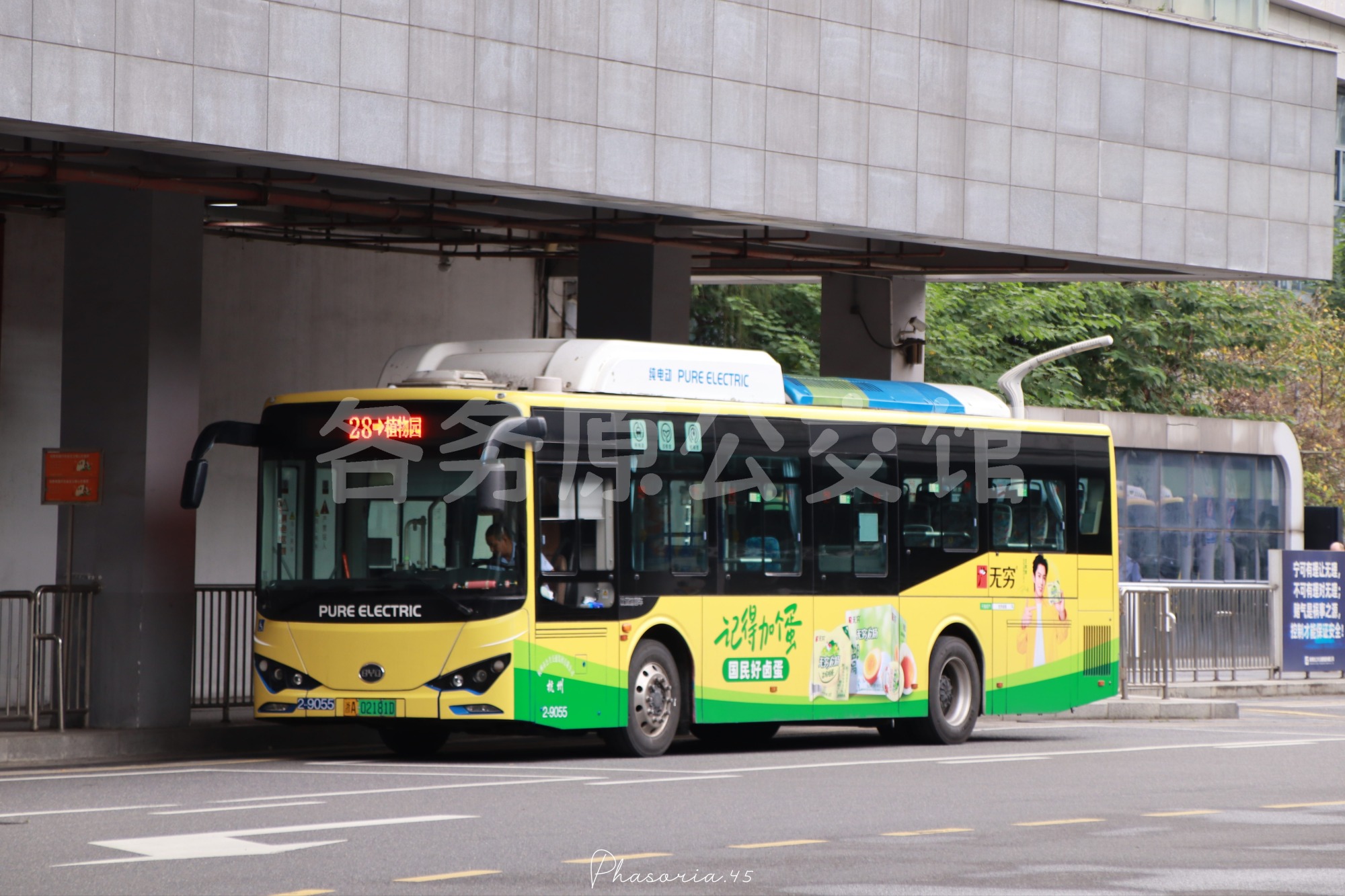 热门图片