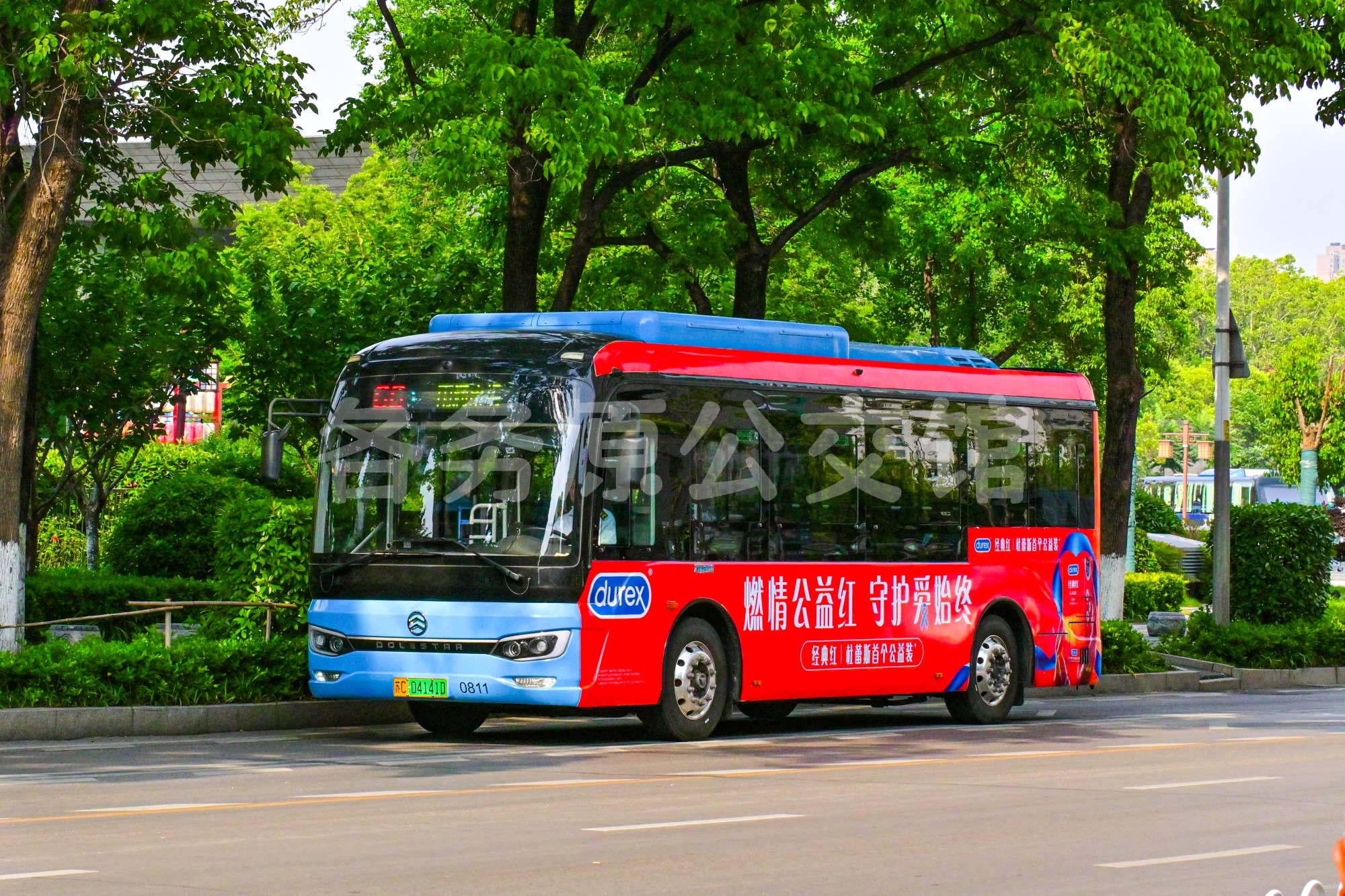 XML6885JEVP0C2图片