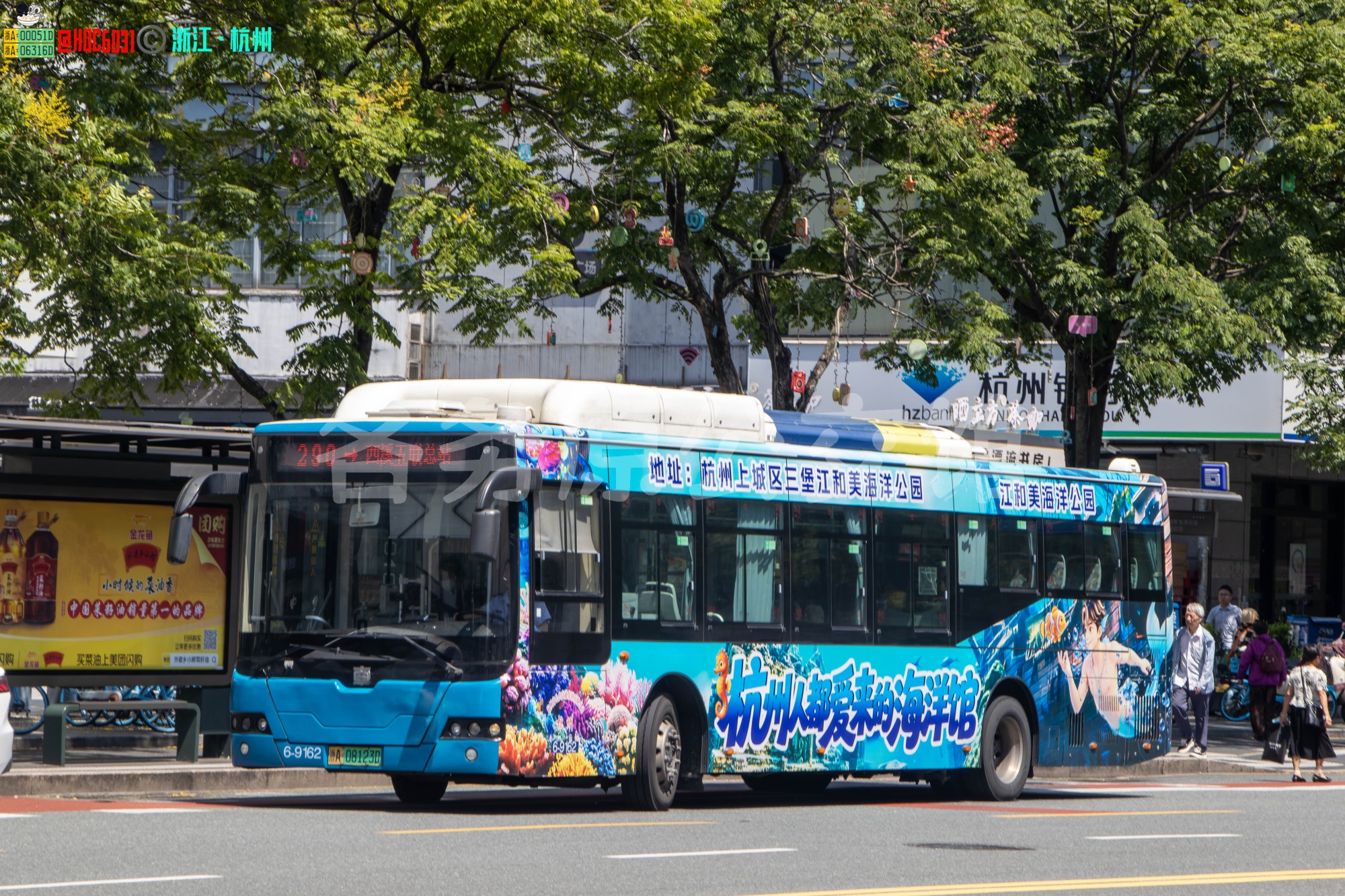 杭州公交 - TEG6129BEV11