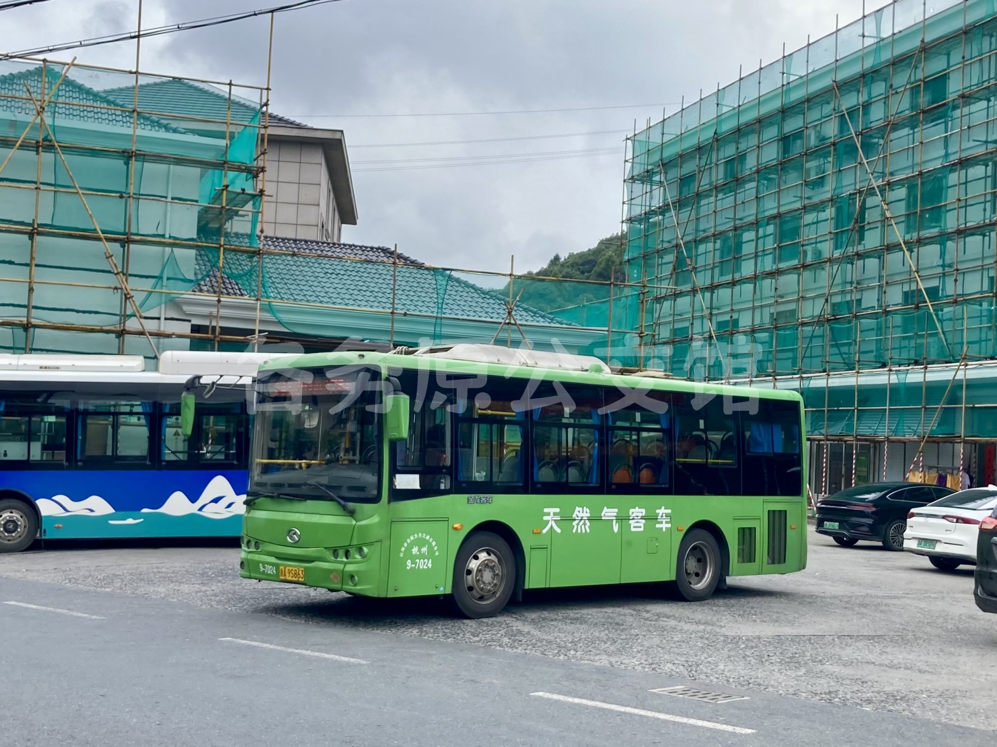热门图片