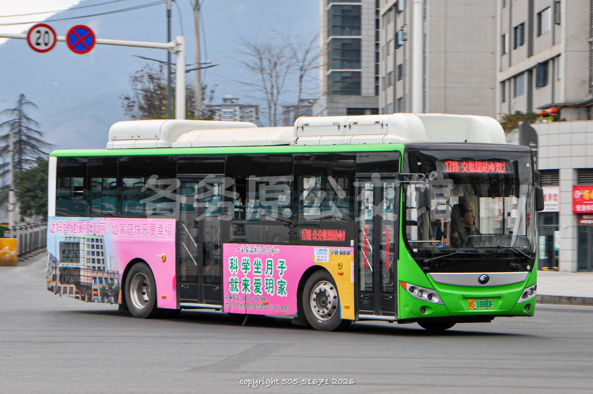 ZK6105CHEVNPG40图片