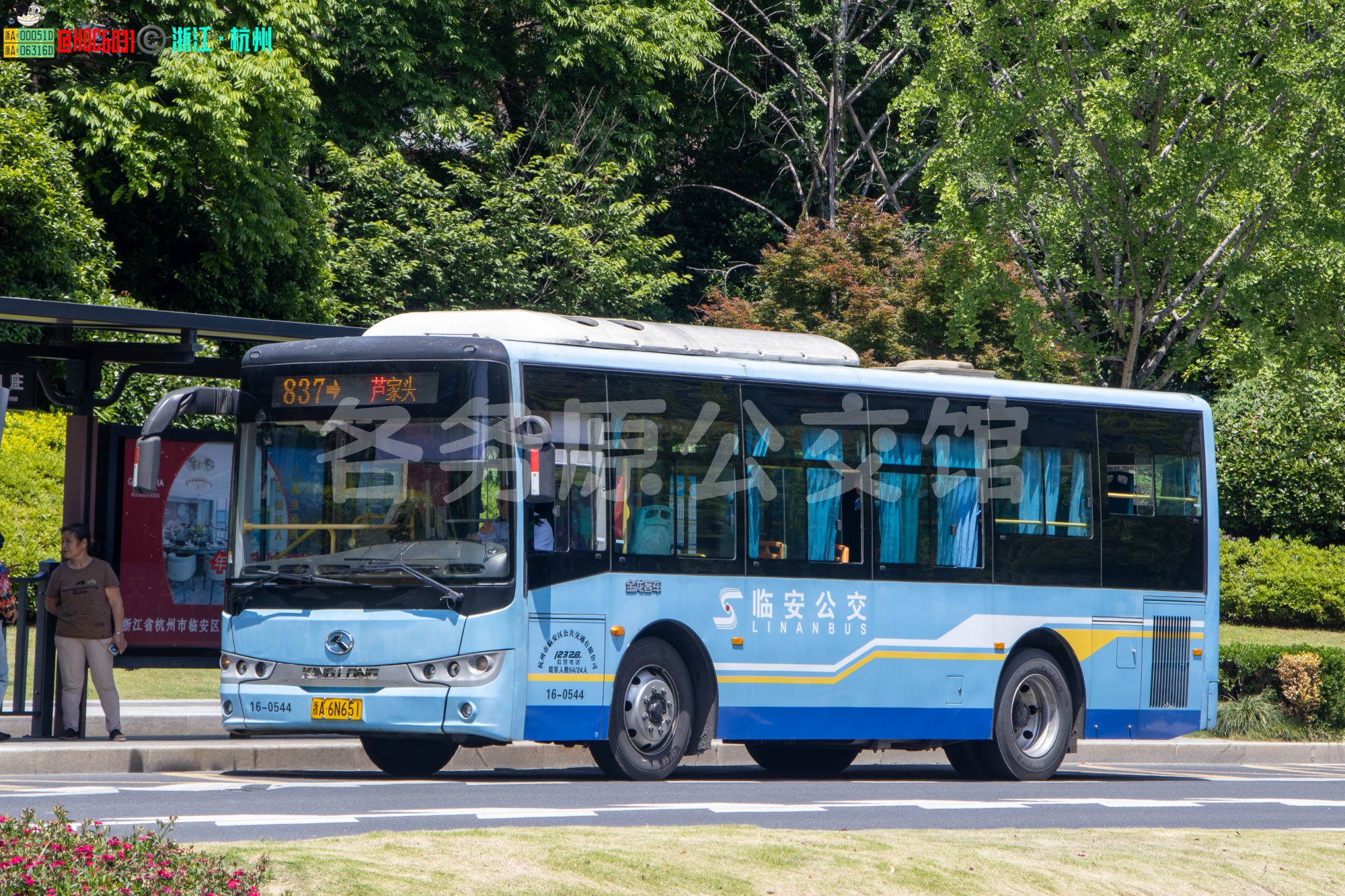 临安公交 - XMQ6850AGD5
