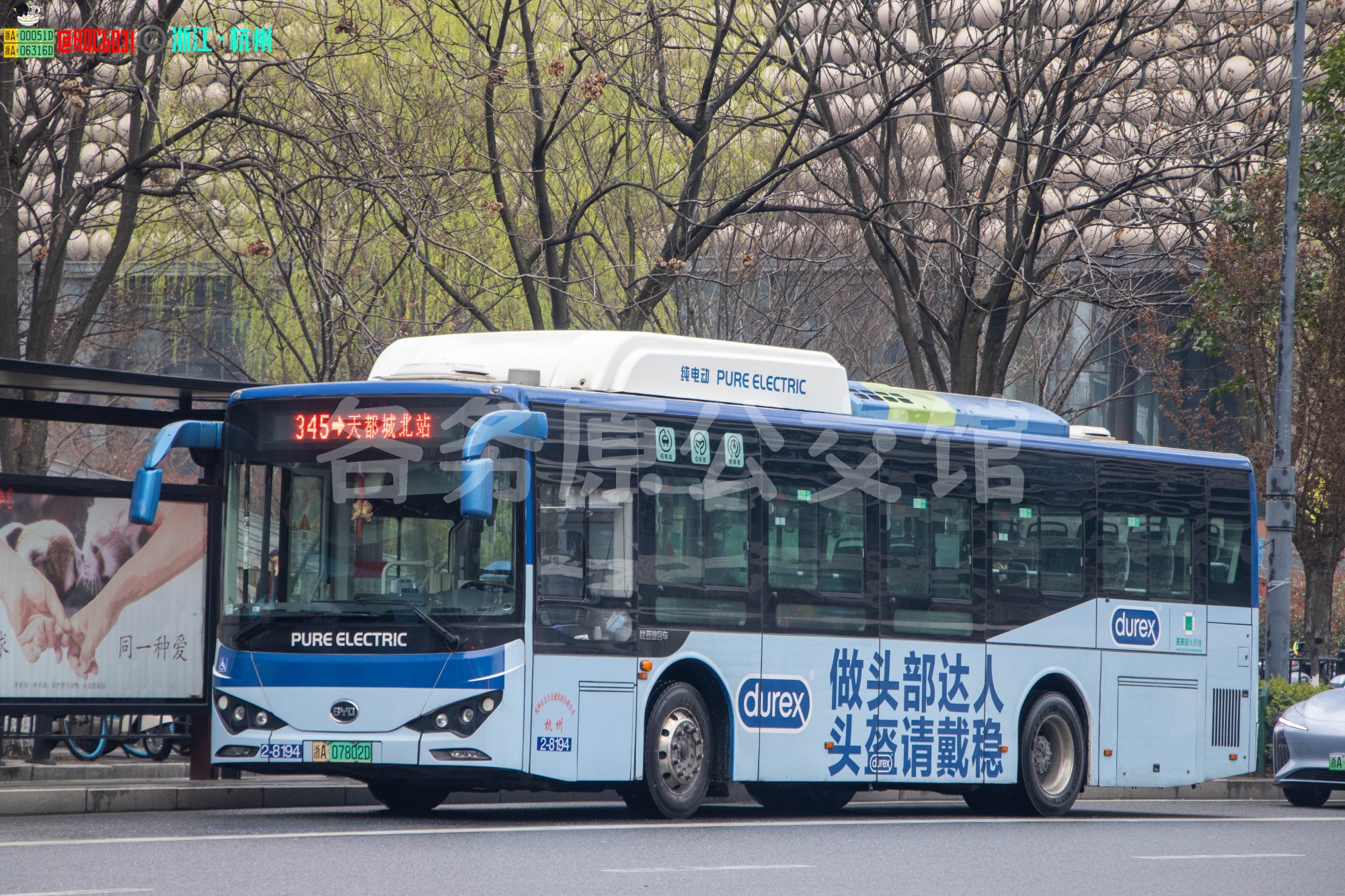杭州公交 - BYD6101LGEV4