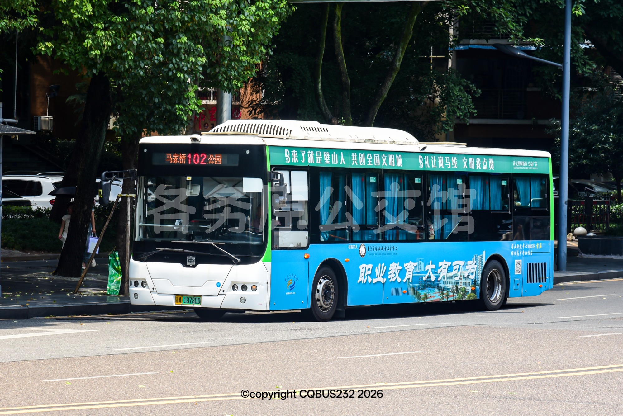 TEG6105BEV22图片