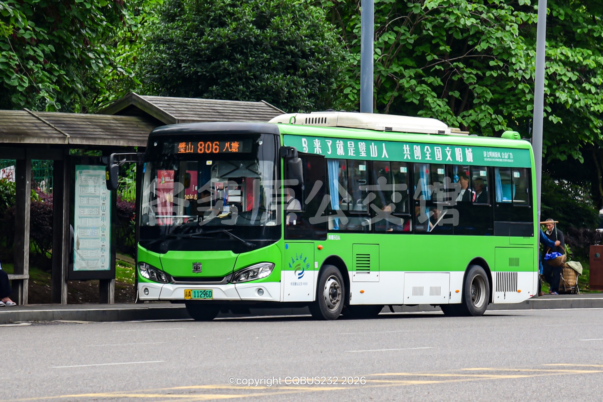 TEG6852BEV01图片