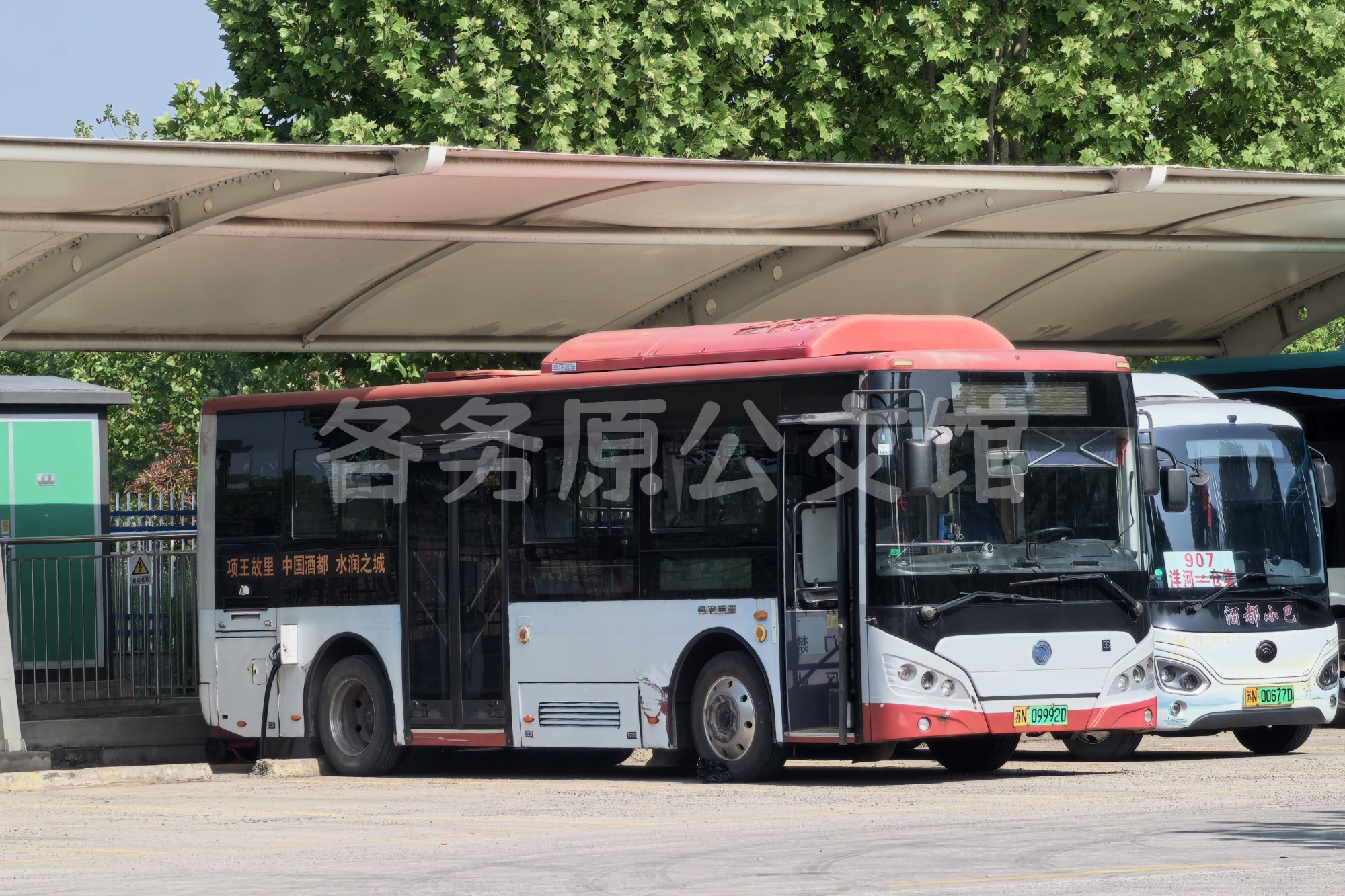 未命名图片