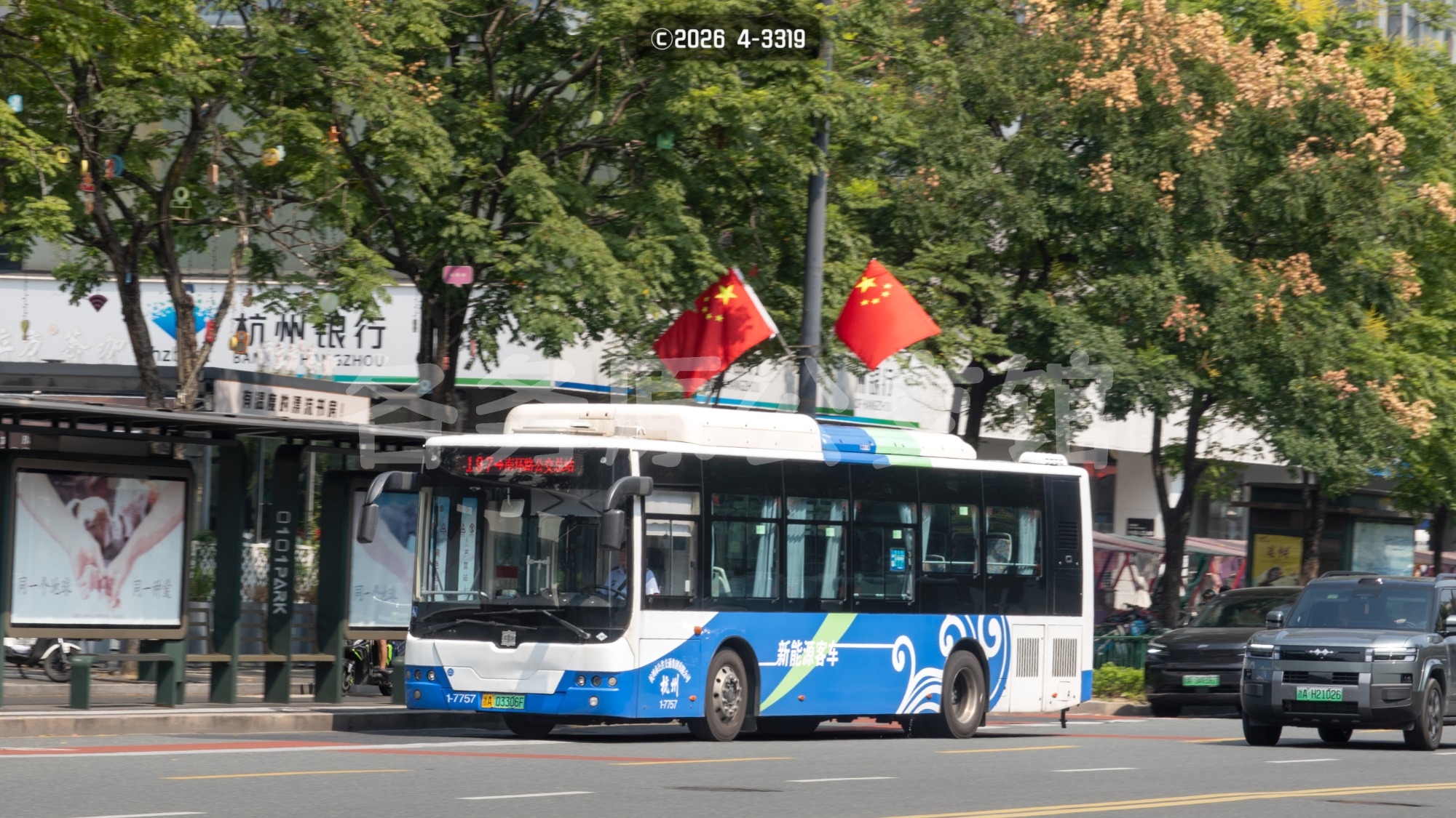 热门图片