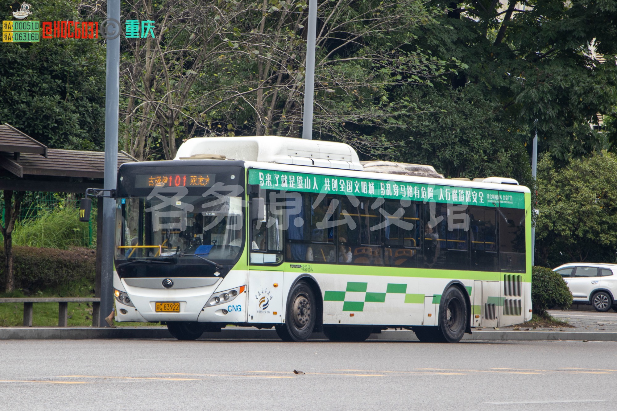 ZK6105CHEVNPG21图片