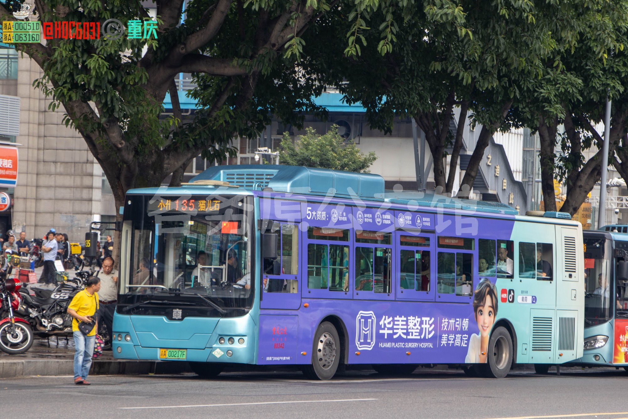 未命名图片