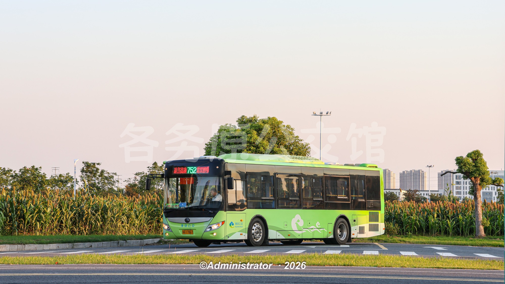 热门图片
