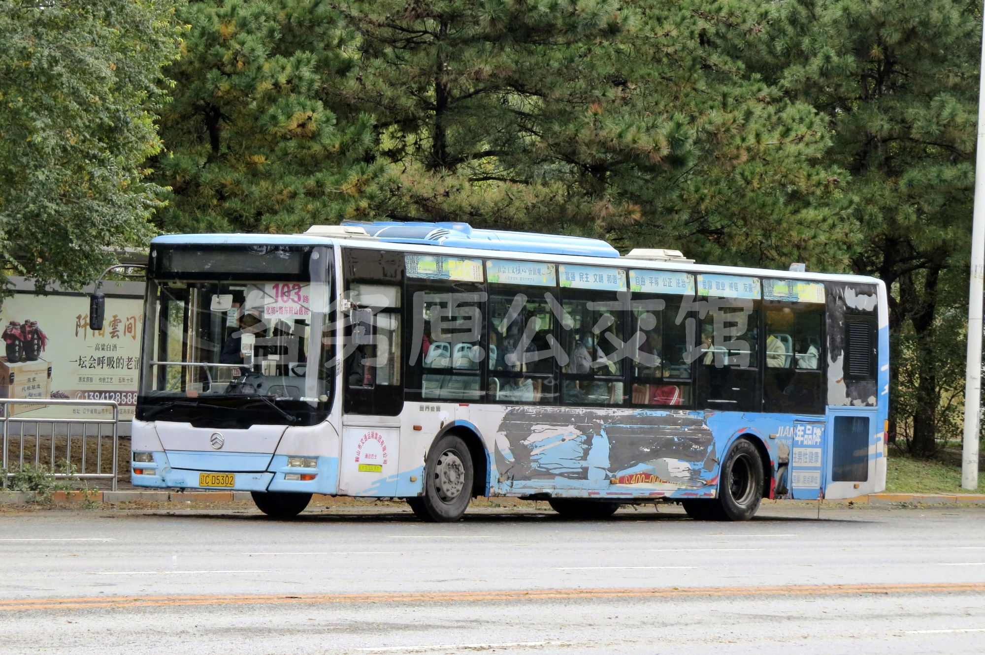 热门图片