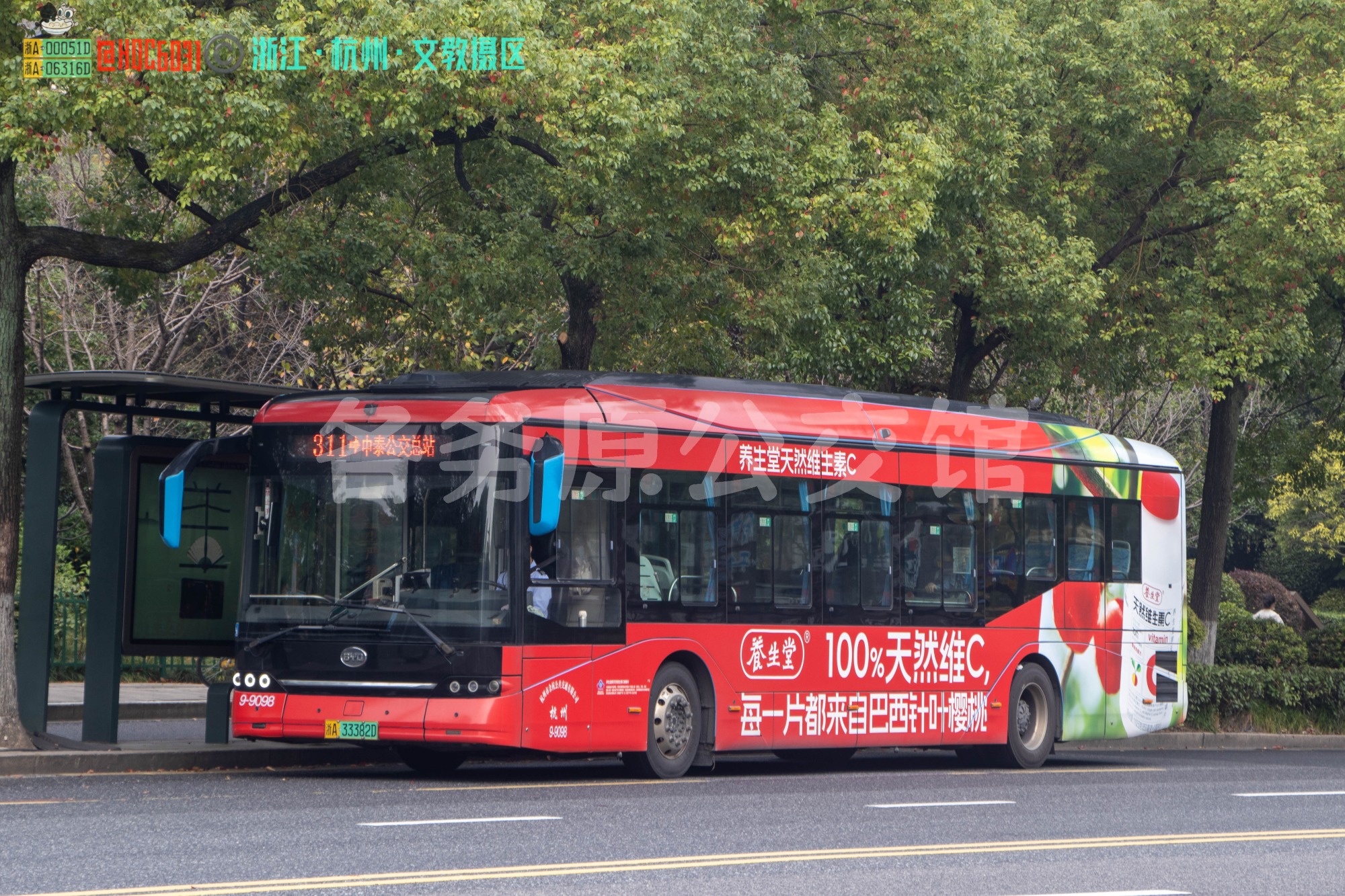 余杭公交 - BYD6123LGEV1