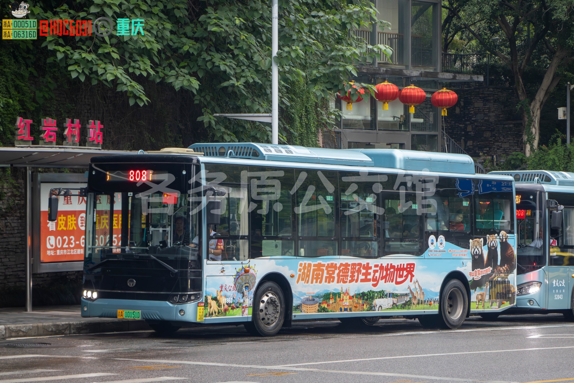 未命名图片