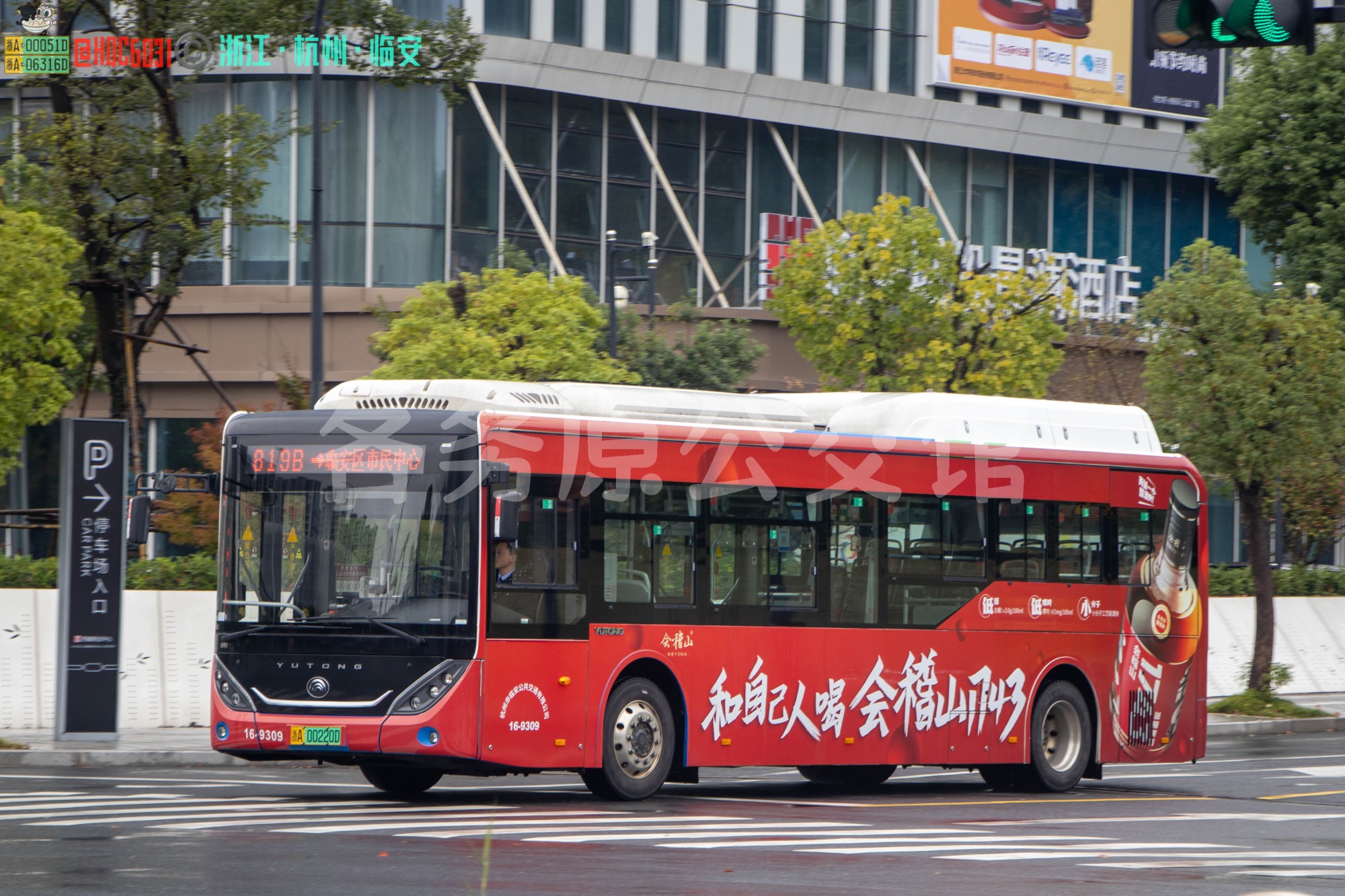 临安公交 - ZK6106BEVG9E