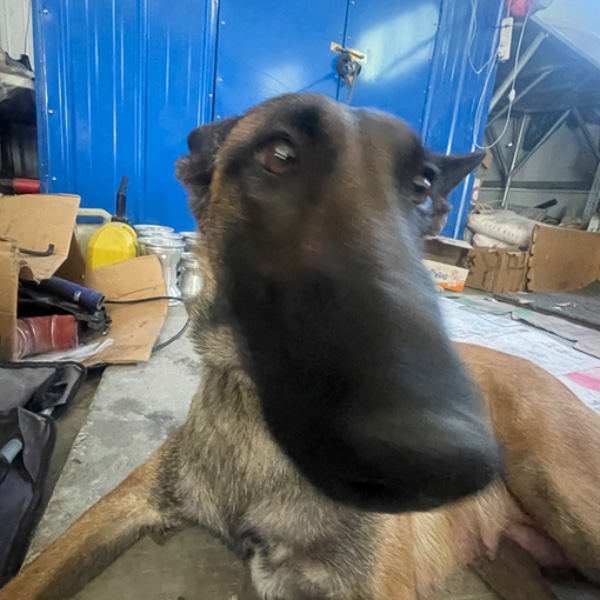 头像